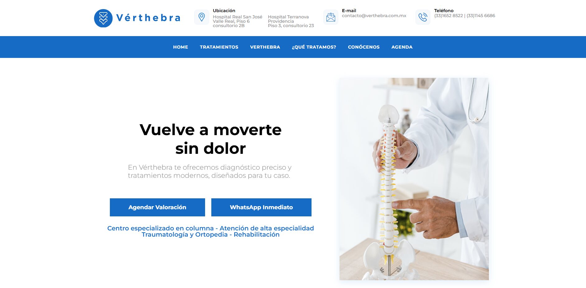 Verthebra